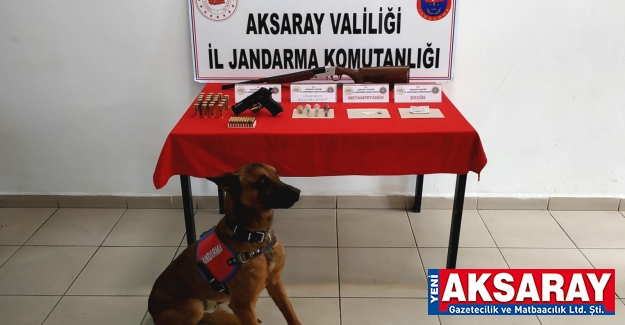 Uyuşturucuları narkotik köpeği buldu