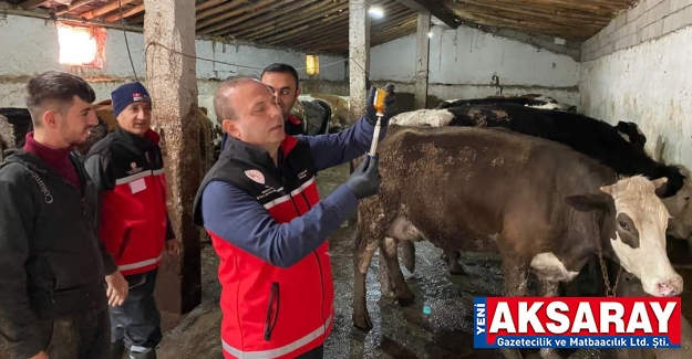 YETKİLİLER ÇAĞRI YAPTI Hayvanları hastalıklardan koruyun