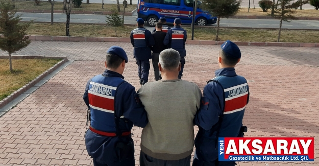 Mandırada suç üstü yakalandılar