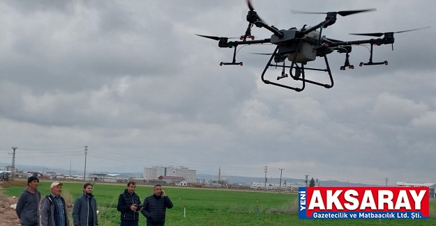 Soğuktan etkilenen ekinlere havadan gübreleme yapıldı