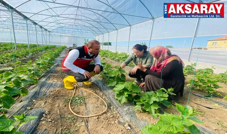 100 Sera kuruldu, üretimde