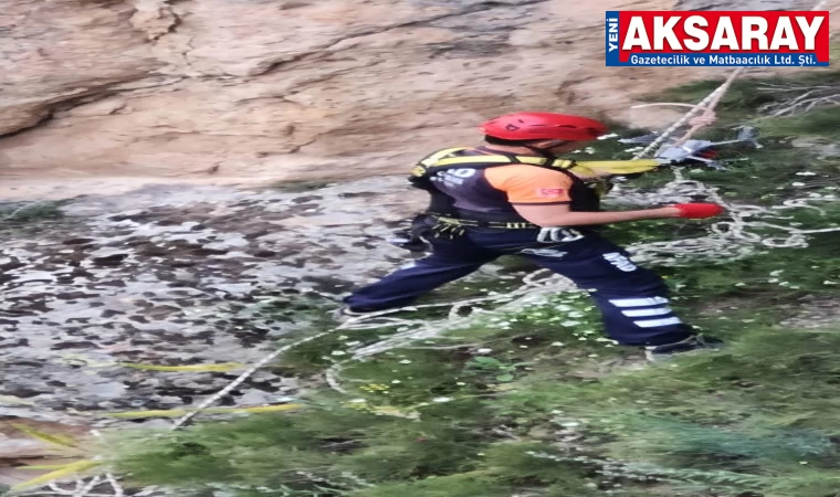 Bu defa Drone kurtardılar