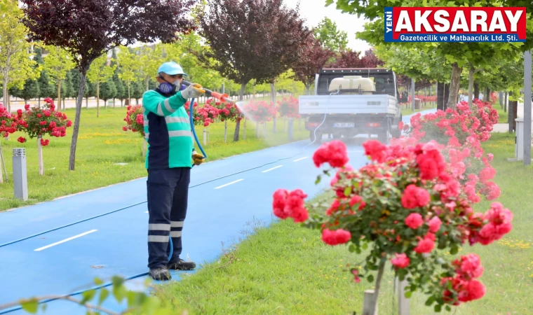 Park ve bahçelerde ağaçlar hastalıklara karşı ilaçlanıyor