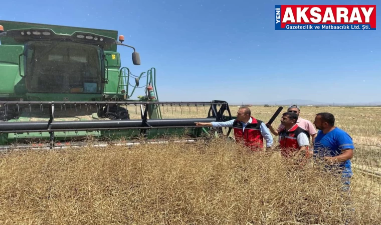 Aksaray için alternatif ürün kanola alım garantili ekildi