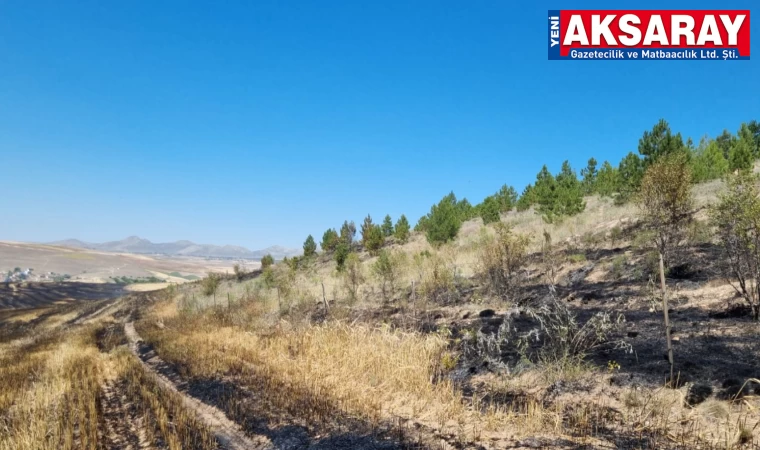 Anız yangını ormanlık alana zarar verdi