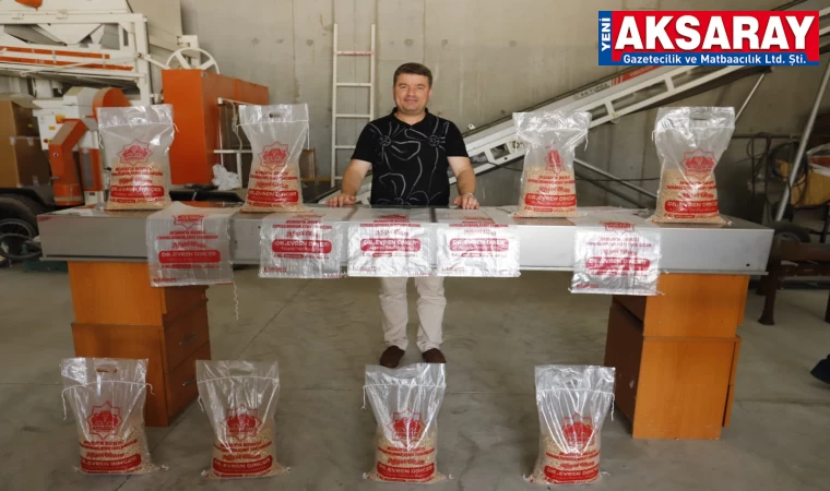 Belediyenin tarlasından 60 ton nohut çıktı