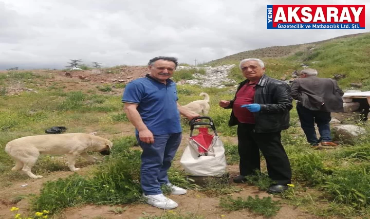 Sahipsiz köpeğin katledilmesi kınandı
