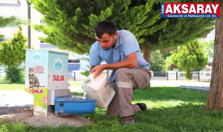 Sıcak yaz günlerinde de dost eli uzatıldı