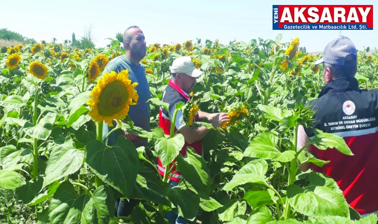 TARIM İL MÜDÜRÜ SAKLAV Üreticilerimizin yanındayız