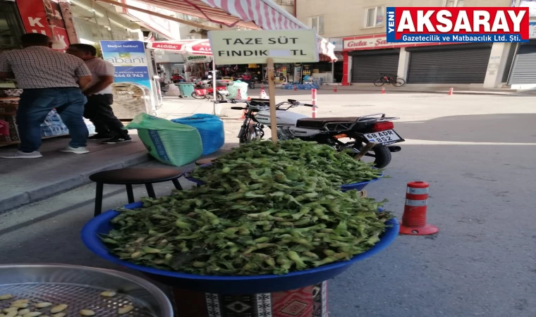 Taze fındık 70 Tl’den tezgahlarda