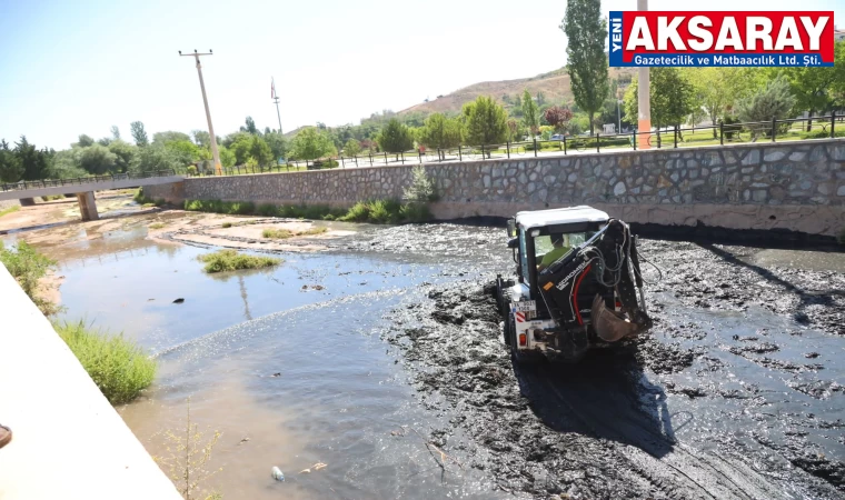 Uluırmak’ta temizlik