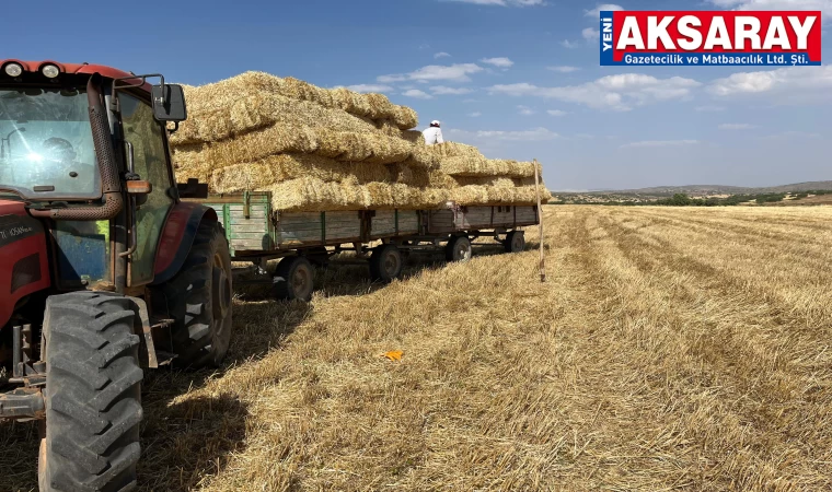 Bir dönümden 10 balya saman çıkıyor