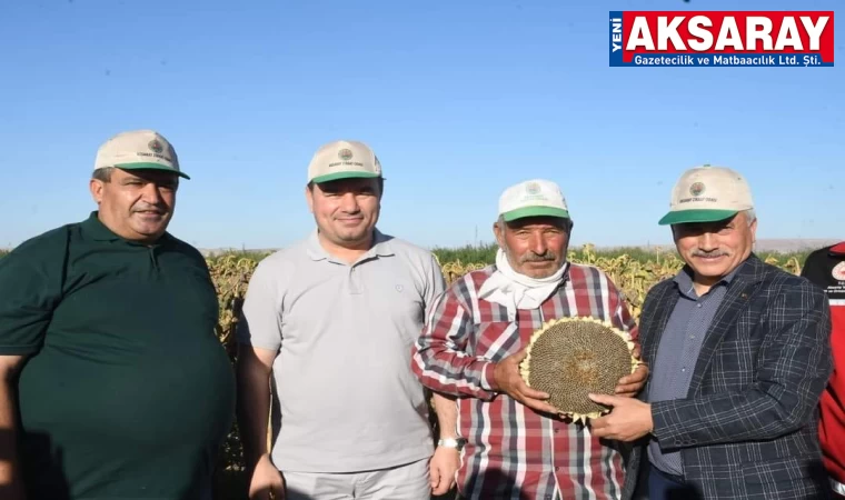 GEÇEN YIL ÜRETİMDE TÜRKİYE 2. Sİ OLMUŞTUK Yılın ilk ay çekirdeği hasat edilmeye başladı