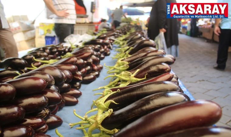 Kışlık heyecanı başladı 