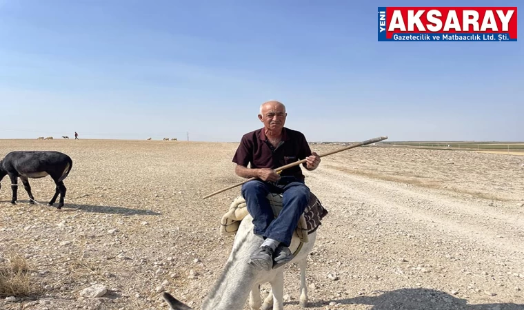 Koyun güderken söylediği türküleri sosyal medyadan canlı yayınlıyor