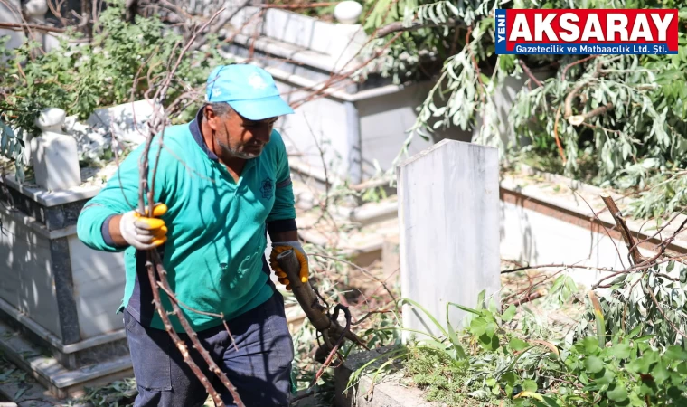 Mezarlıkta ki ağaçlara bakım yapılıyor