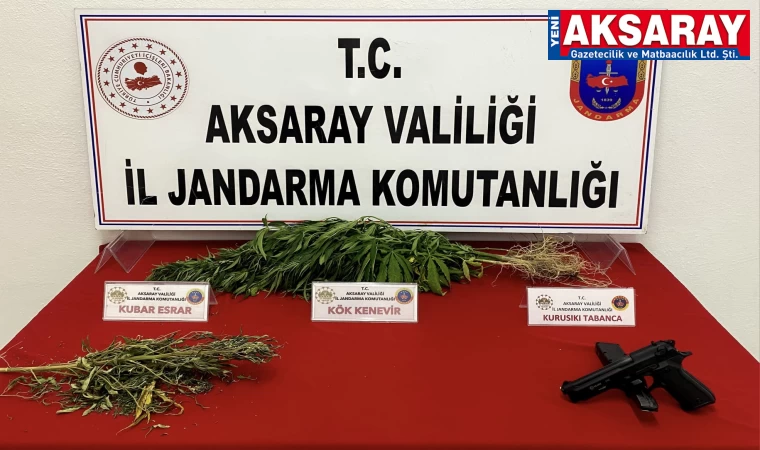 Yasa dışı kenevirlerle tabancaya el kondu                