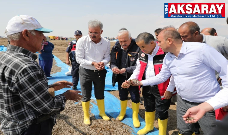 Ayçiçeği yığınları sel suları altında kaldı