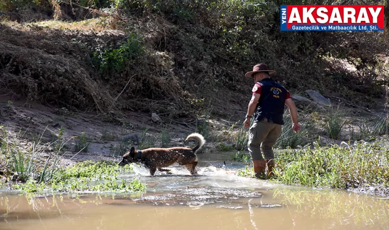 Kaybolan bebeğe köpekli arama