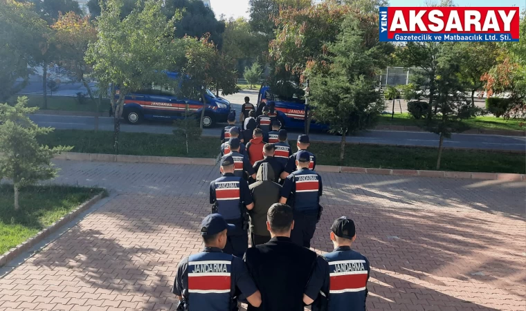 Jandarma 7 kişilik uyuşturucu çetesini yakaladı