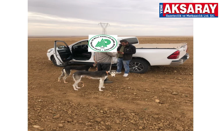 Kaçak avcılar yakalandı