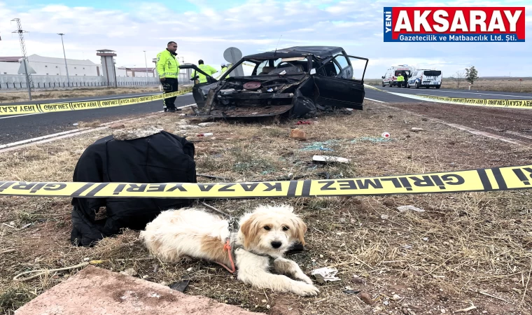 Otomobil refüje çarptı 1 kişi öldü