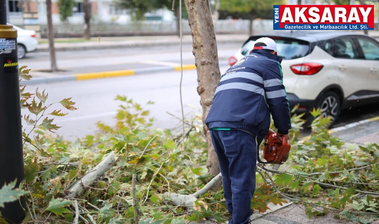 Park ve bahçelere kışlık bakım