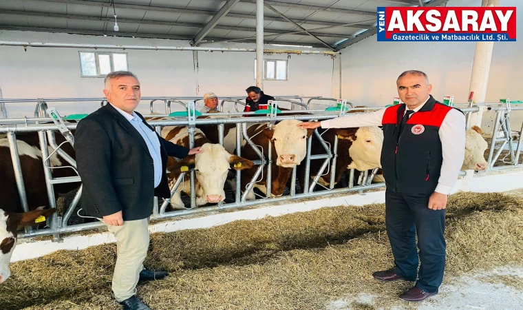 Yurt dışından getirilen gebe düveler karantina altına alındı