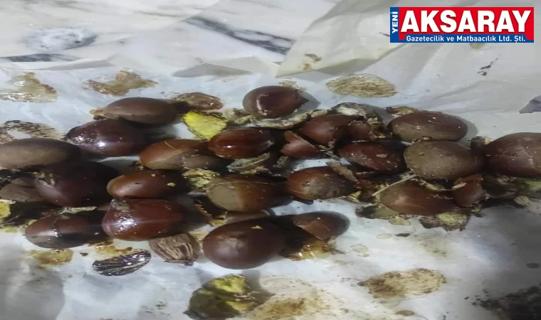Çin kestanesi Aksaray'a da geldi