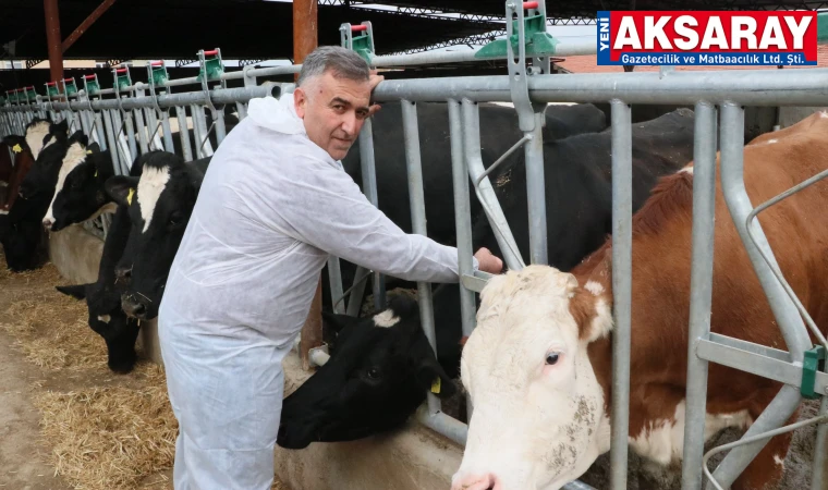 DAMIZLIK SIĞIR YETİŞTİRİCİLERİ BİRLİK BAŞKANI KAYAN: Süt fiyatları sürekli güncellensin, yoksa üretim olmaz