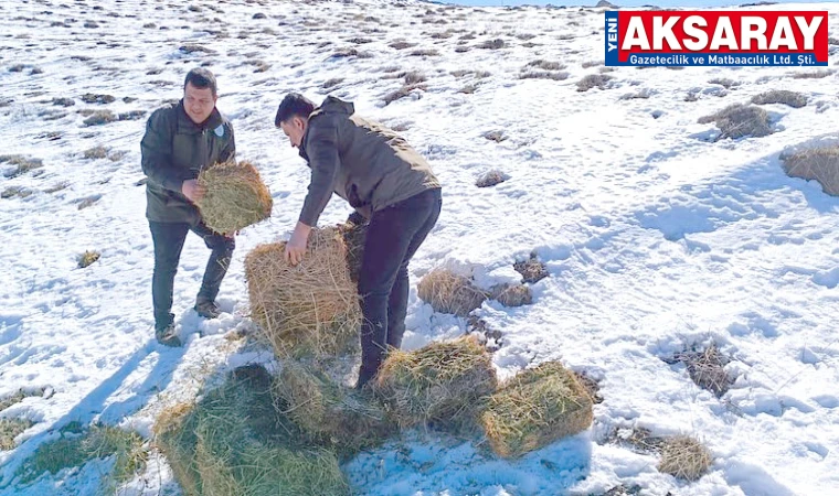 Dünya Yaban Hayatı Günü’nde yaban hayvanları unutulmadı