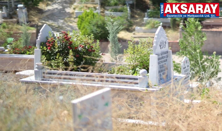 Aksaray ve çevresi dolaşım sistemi hastalıklarından öldü