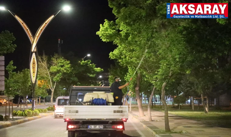 Bayramda sinek ve haşerelere karşı ilaçlama mesaisi yapıldı