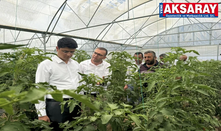 İlçenin seralarını gezerek bilgi aldı