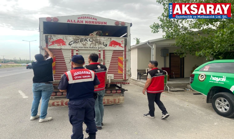 Kurban nakil araçları sürekli denetlendi