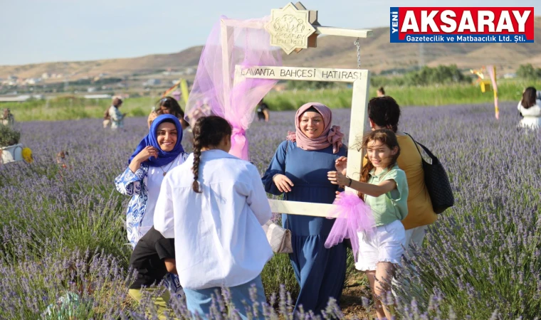 LAVANTA BAHÇESİ YENİ SEZONA MERHABA DEDİ Huzur veren bahçe