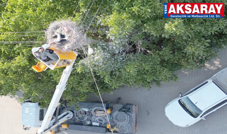 Ayağına ip dolanan leylekler kurtarıldı