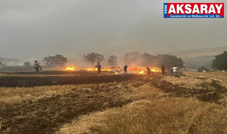 Buğday ve arpa ekili 100 dönüm tarla yandı