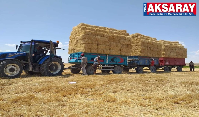 Hasadın ardından samanlar balya yapılıyor