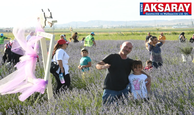 Lavanta bahçesinin açık saatleri belli oldu