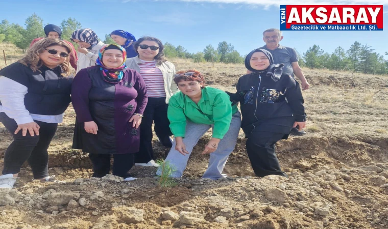 DÜNYA RUH SAĞLIĞI GÜNÜ Çam diktiler çevreye duyarlılık gösterdiler