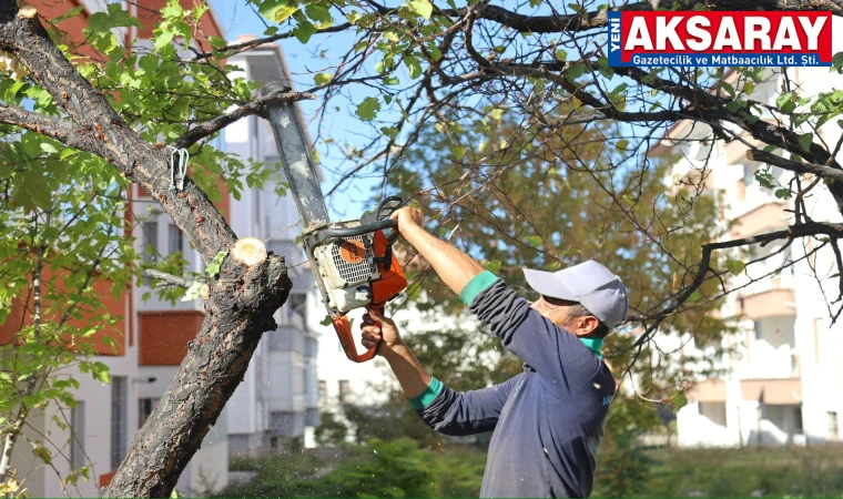 Park ve bahçelerde budama çalışması