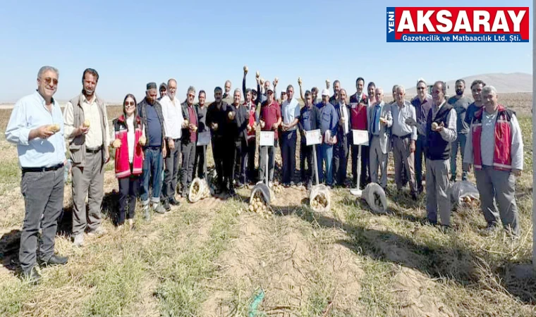 Verimi yüksek patates ekiminin hasadı yapıldı