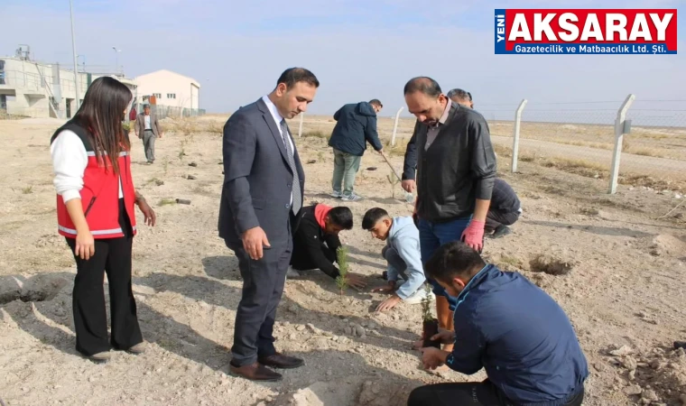 Ağaç fakiri bölgede fidanlar toprakla buluştu