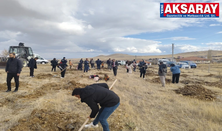 Hastane çevresinde ağaç diktiler