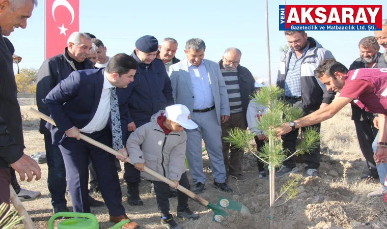 Ortaköy’de fidan dikme etkinliği