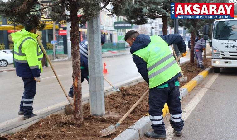 Yollarda peyzaj çalışması
