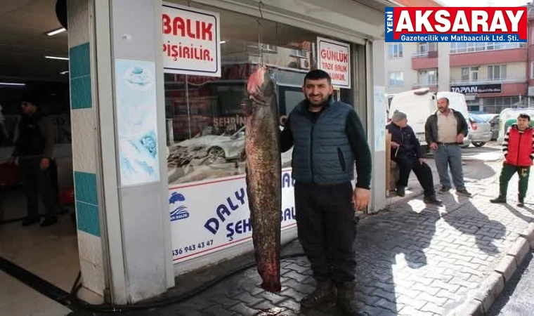 60 Kiloluk yayın balığı ilgi gördü