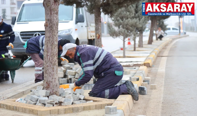 Acem Bulvarı yenilendi