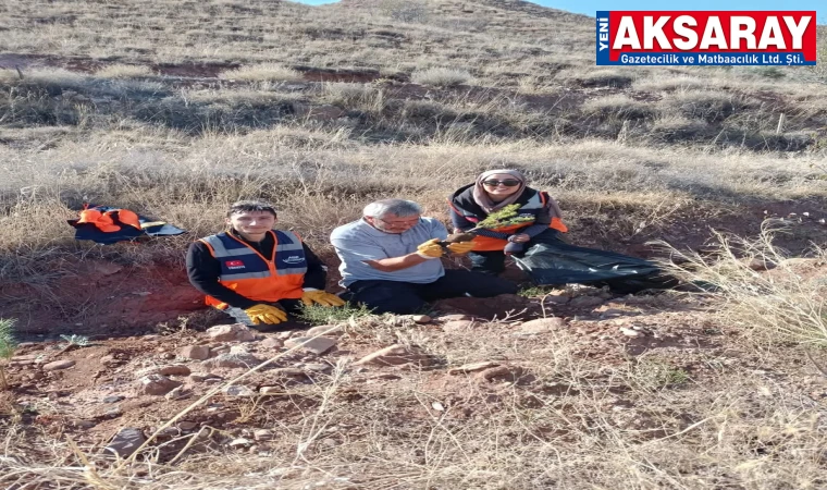 Mev­sim kış da olsa fidan di­ki­mi devam edi­yor
